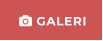  GALERI