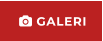  GALERI