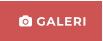  GALERI